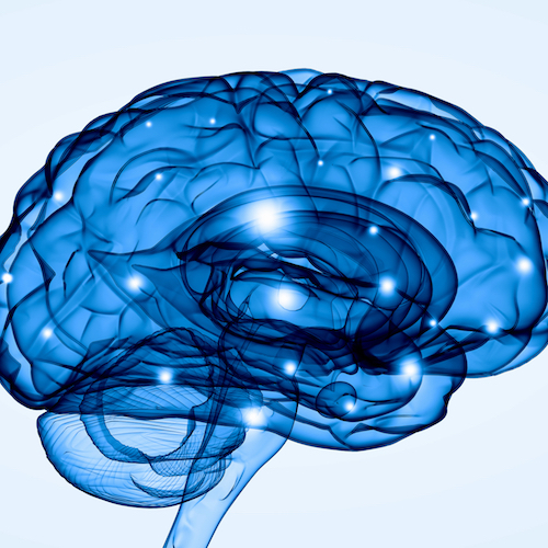 Blue Transparent Brain